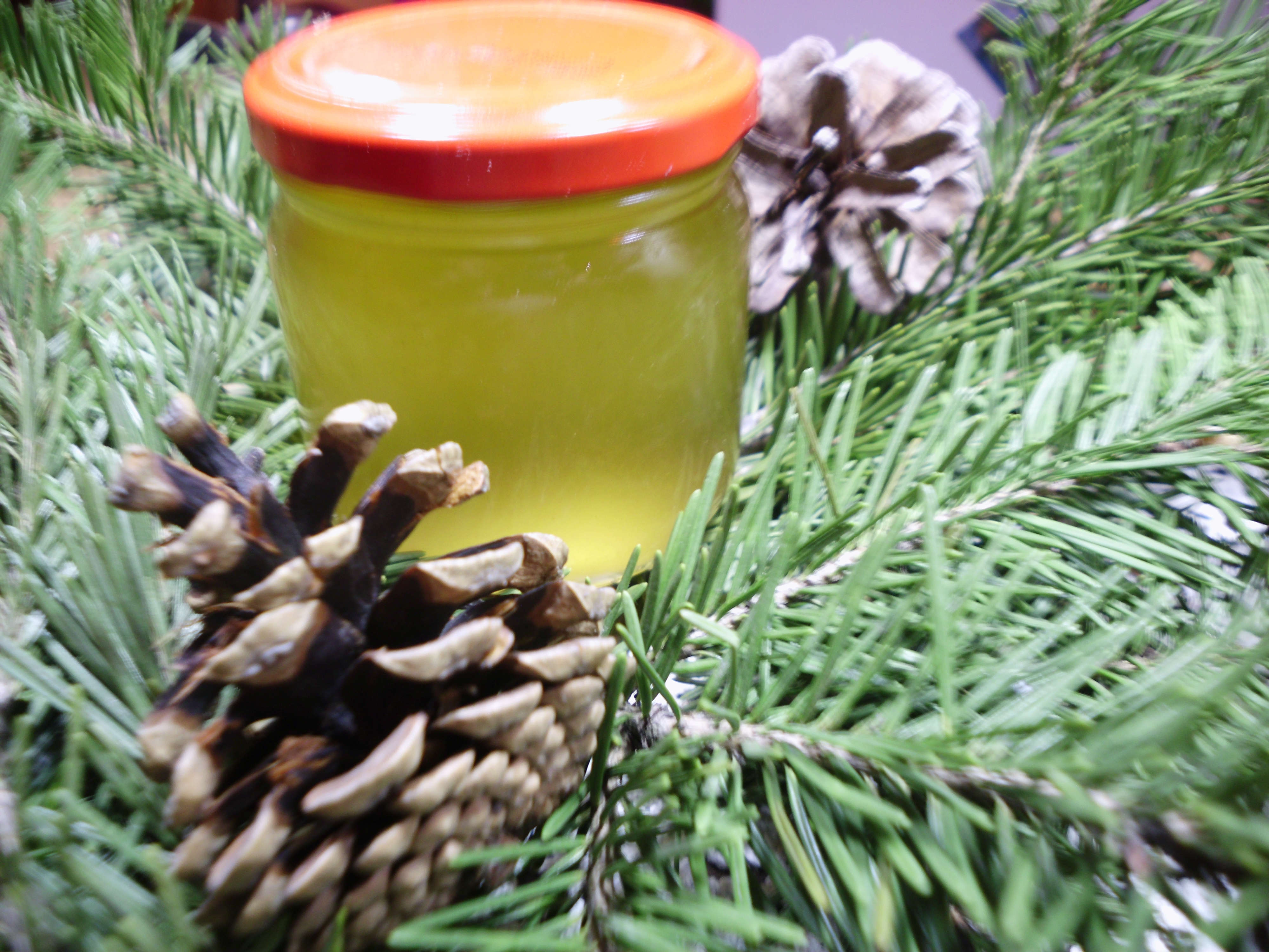 Med (sirup) od borovih iglica 200 gr.